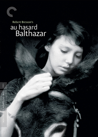 AL AZAR, BALTASAR *HD*