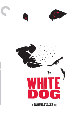 PERRO BLANCO *HD*